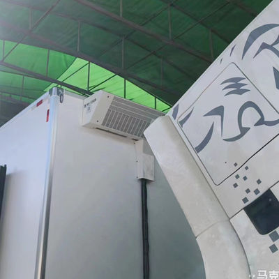 थर्मो किंग रेफ्रिजरेशन यूनिट RV1200S RV1200 रेफ्रिजरेटर ट्रक शीतलन प्रणाली उपकरण के लिए मांस मछली रखने