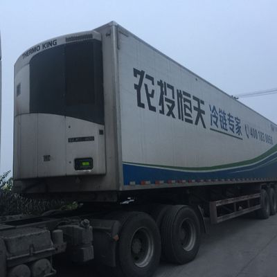 थर्मो किंग 0 सेल्सियस SLXI 300 फ्रीजर यूनिट खाद्य पदार्थों को ठंडा करने के लिए