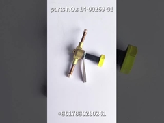 14-00269-01 वाहक मूल स्पेयर पार्ट्स वाल्व, ट्रक रेफ्रिजरेटर शीतलन प्रणाली एसपी के लिए सोलनॉइड